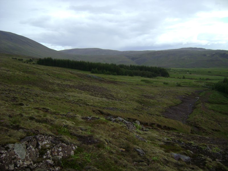 DSC00489.JPG