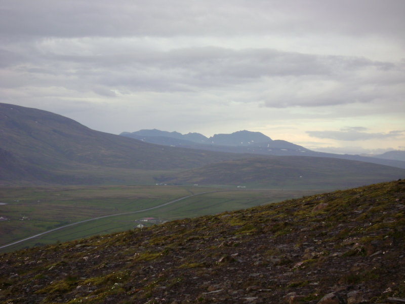 DSC00503.JPG
