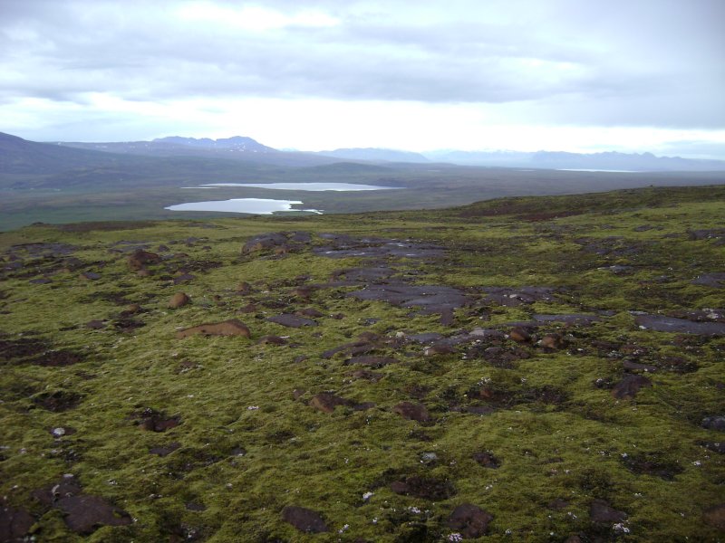 DSC00514.JPG