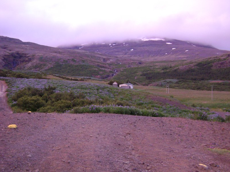 DSC00637.JPG