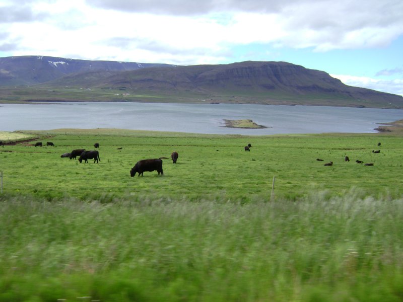 DSC00662.JPG