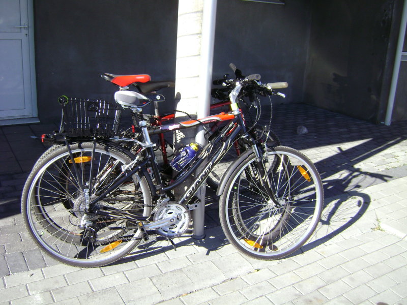 DSC00682.JPG