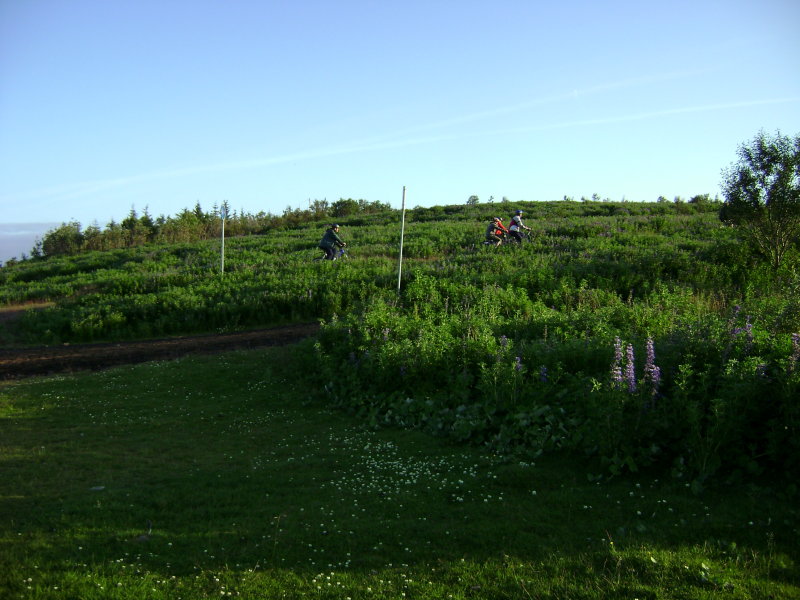 DSC01195.JPG