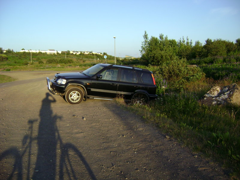 DSC01203.JPG