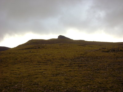 DSC01785.JPG