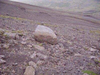 DSC01820.JPG