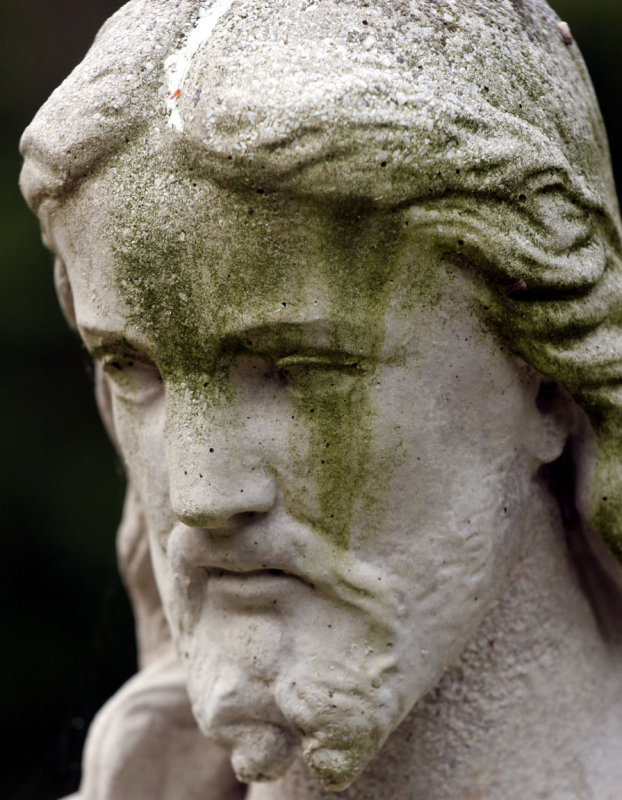 tears of green
