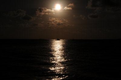 Vue from Mallory Square FL