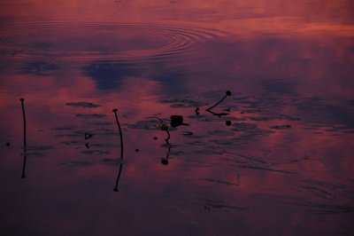 Twilight Bay Shawinigan