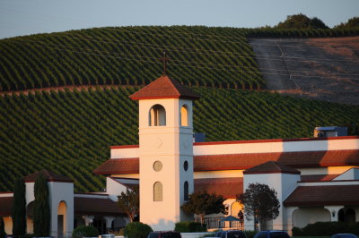 Winery in Napa