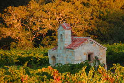 Napa Valley scenery
