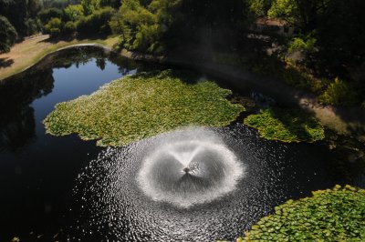 Water fountain Sterling Winery vue fron the Gondola