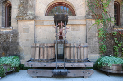 Grapes press