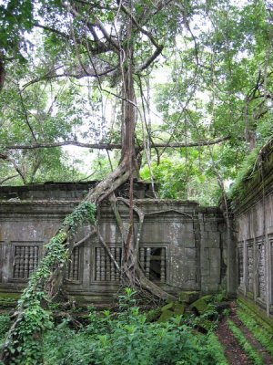 cambodia-curt-IMG_1038.jpg