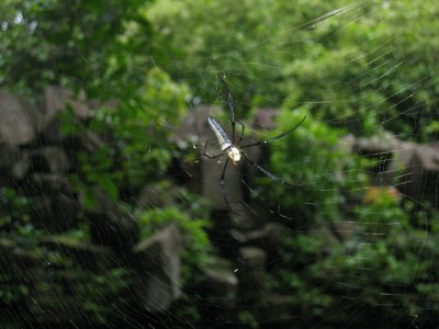 cambodia-curt-IMG_1077.jpg