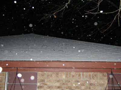 Snow 12-09-08 4.JPG