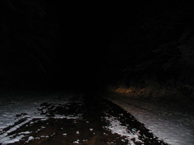 Snow 12-10-08 6.JPG