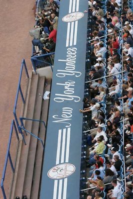 Yankee Dugout