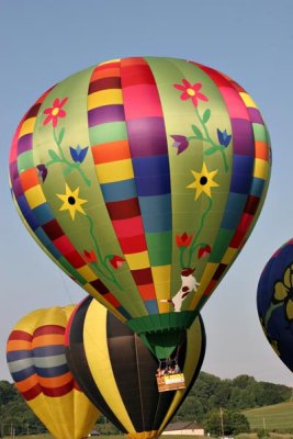 Balloon Festival (219)