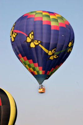 Balloon Festival (221)