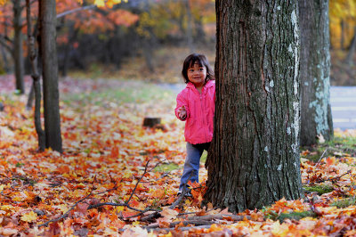 Autumn Surprise 2009