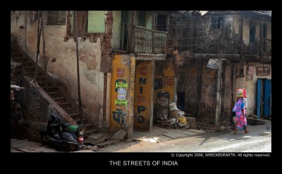THE STREETS OF INDIA.jpg