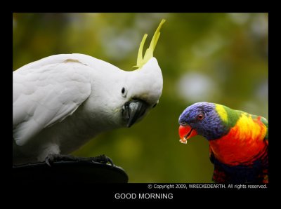 GOOD MORNING.jpg