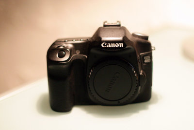 0EFP9773_1.JPG