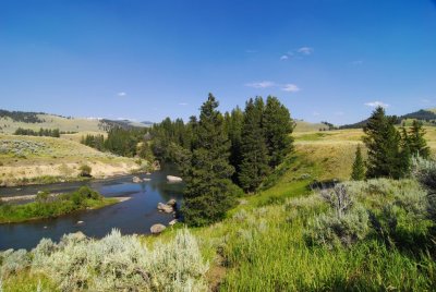 Yellowstone-2737.jpg