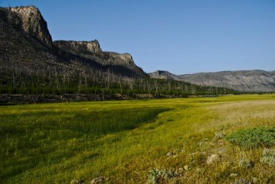 Yellowstone-2856.jpg