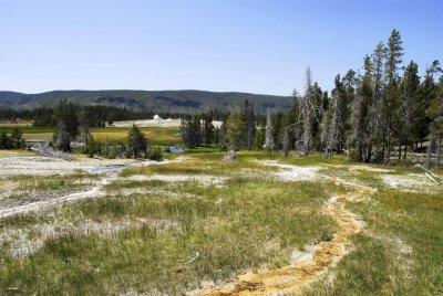 Yellowstone-8.jpg