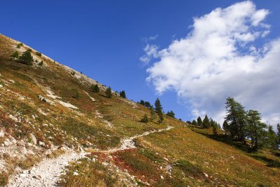 g5/98/609598/3/118587953.YqkUTBsw.jpg