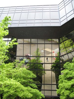 g5/98/645098/3/98454621.neRySBEc.jpg