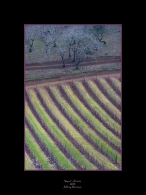 Winter in Napa