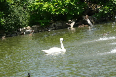 Copy of P1000971.JPG