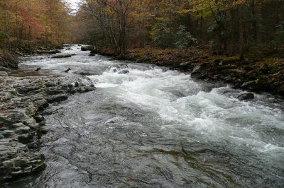 P1020653.JPG