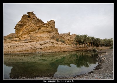 Oasis in Wadi Al-Khoudh
