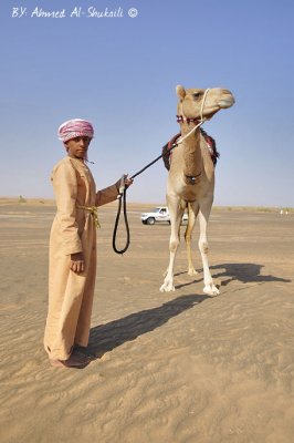 Me & My Camel