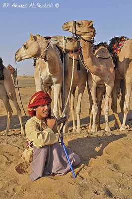 Bediah Camel Race