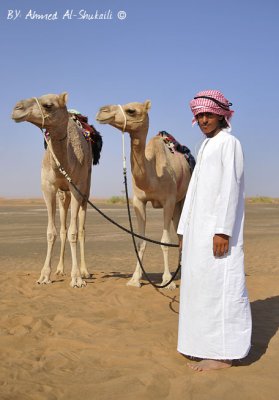 My Camels