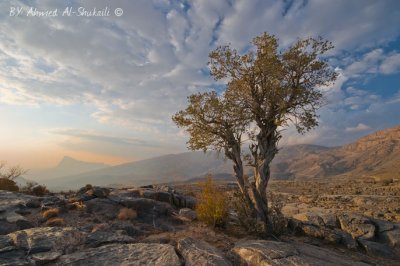 Jabal Shams