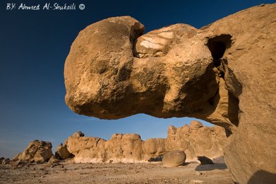 Rhino Rock (Duqm)