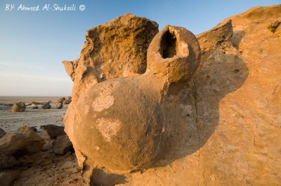 Rock Formations from Duqm (Rock Garden)