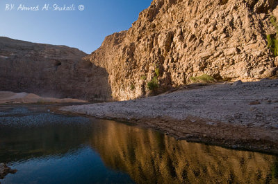 Wadi Arabieen