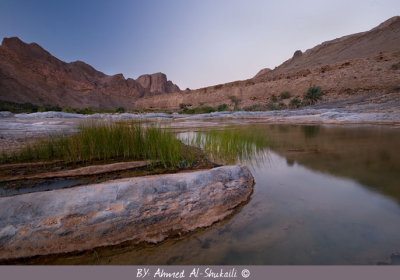 Wadi Arabieen