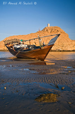 Dhow From Sur