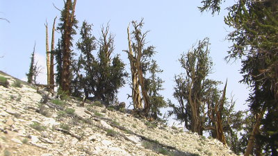 IMGA0110.JPG