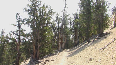 IMGA0115.JPG