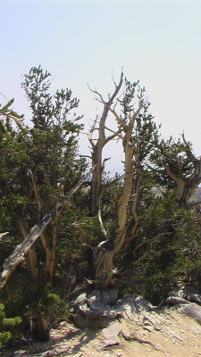 IMGA0119.JPG