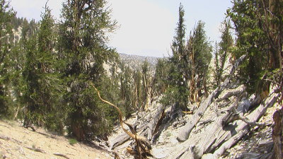 IMGA0149.JPG
